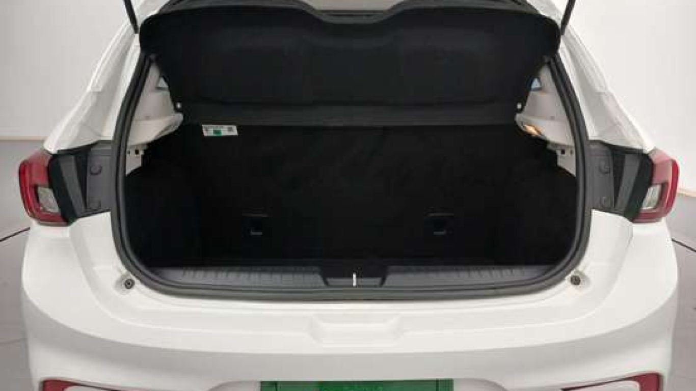 Fiat Argo 09